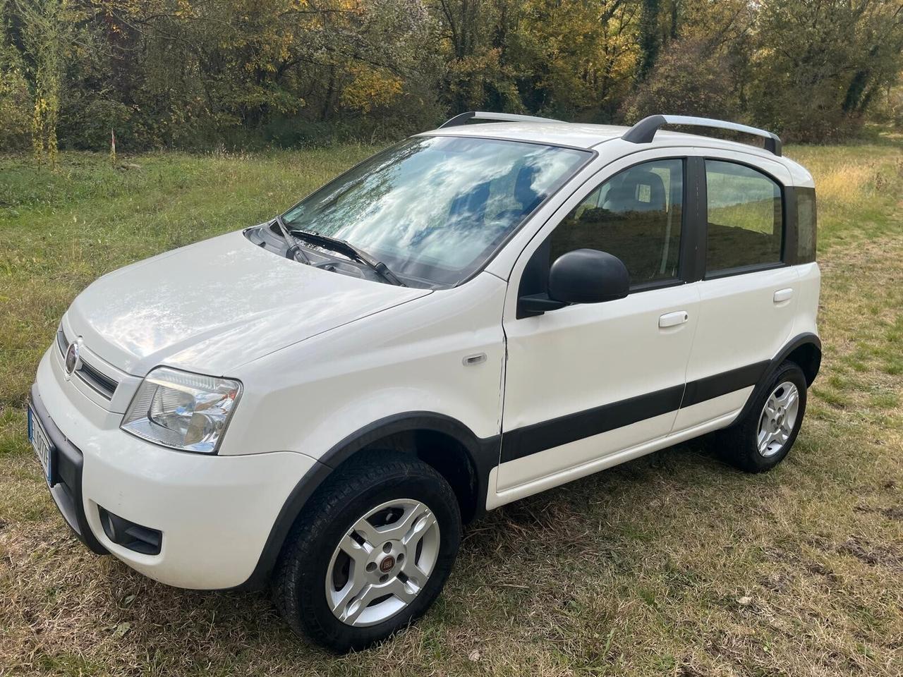 Fiat Panda 1.3 MJT 16V 4X4