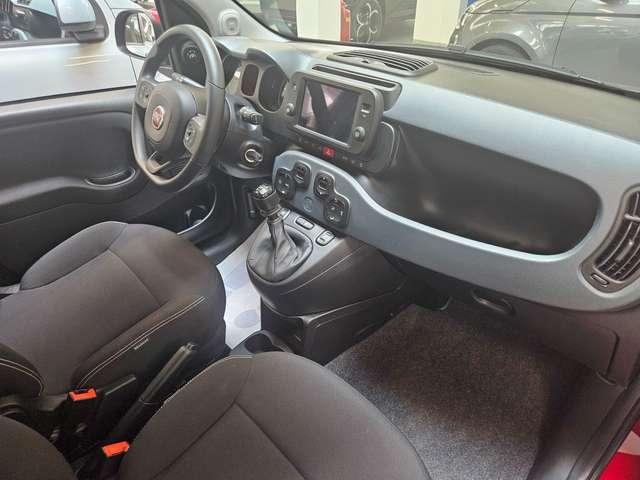Fiat Panda Panda Cross 1.0 hybrid s&s 70cv 5posti