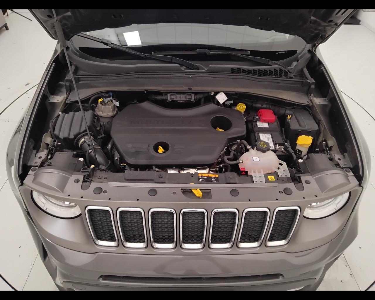 JEEP Renegade 2019 - Renegade 1.6 mjt Limited 2wd 120cv