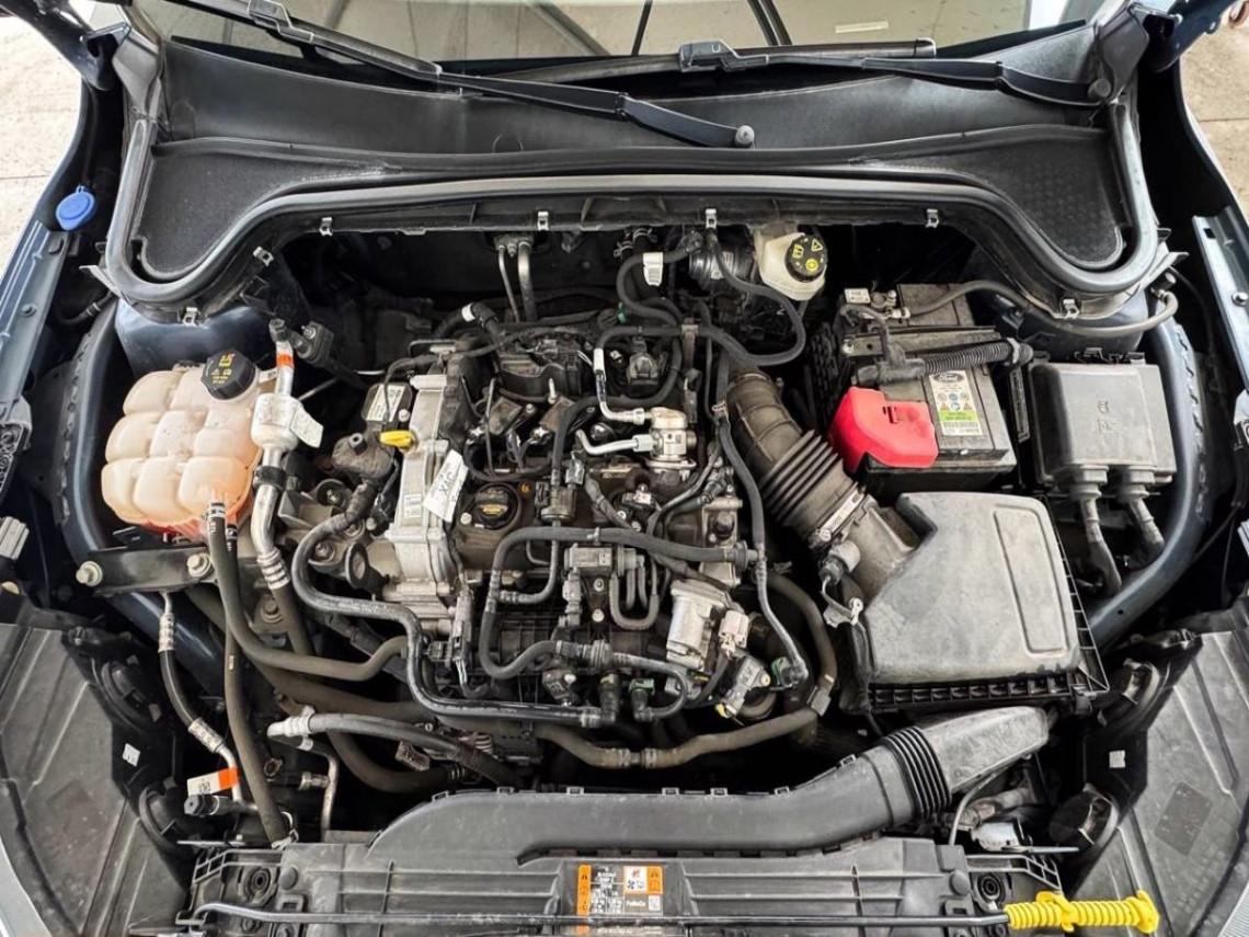 FORD Focus active 1 0 ecoboost h 125cv new