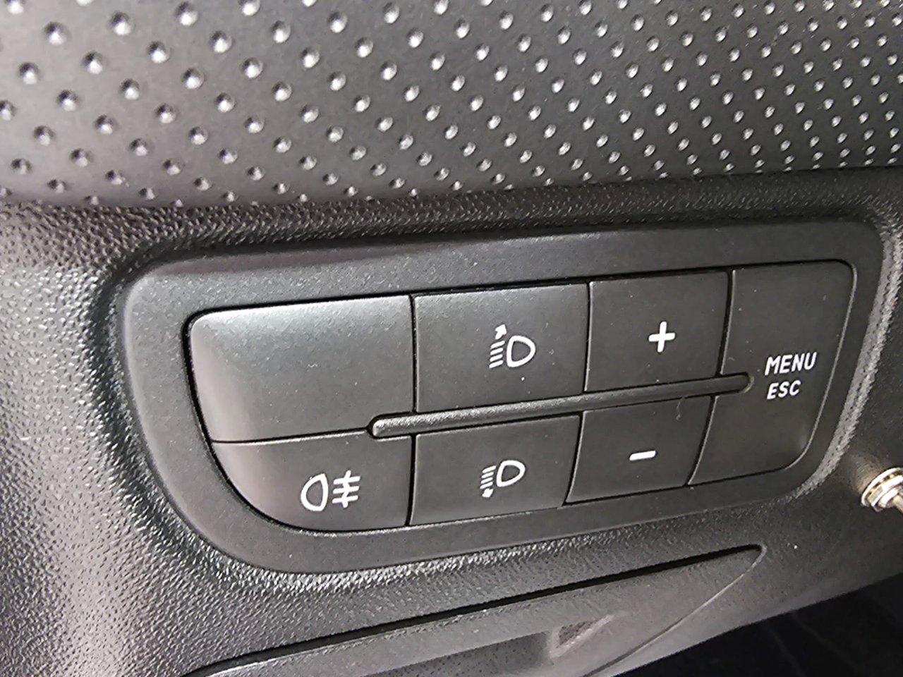Fiat Punto Evo 5 Porte Punto Evo 5p 1.3 mjt Dynamic 75cv