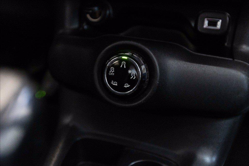 CITROEN C4 Cactus 1.6 bluehdi Shine 100cv del 2017