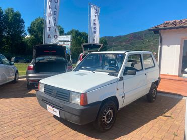 Fiat Panda 1100 i.e. cat Young