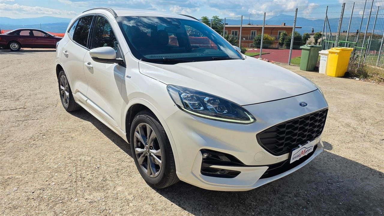 Ford Kuga 1.5 EcoBlue 120 CV aut. 2WD ST-Line X
