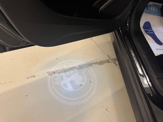 ALFA ROMEO Stelvio 2.2 Turbodiesel 210CV AT8 Q4