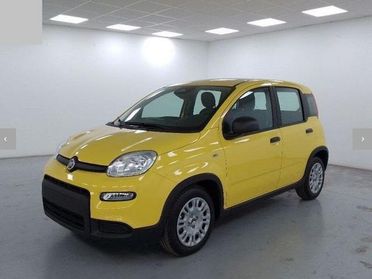 FIAT Panda 1.0 FireFly S&S Hybrid Pandina PREZZO REALE