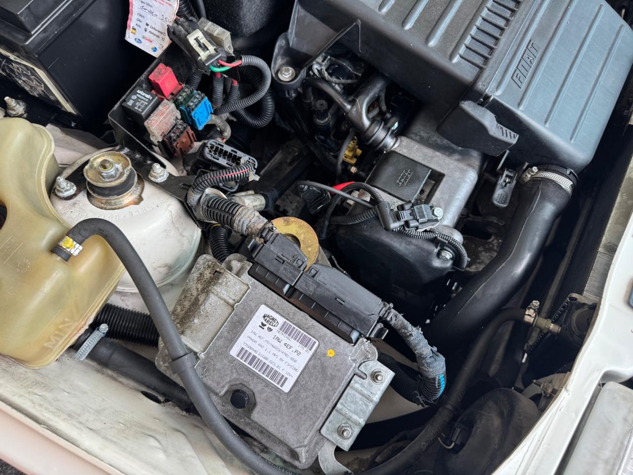 Fiat Panda 1100 i.e. OTTIME-CONDIZIONI