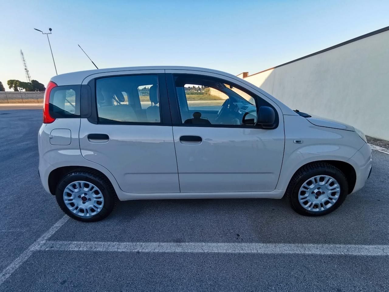 Fiat Panda 1.2 Easy - 2016