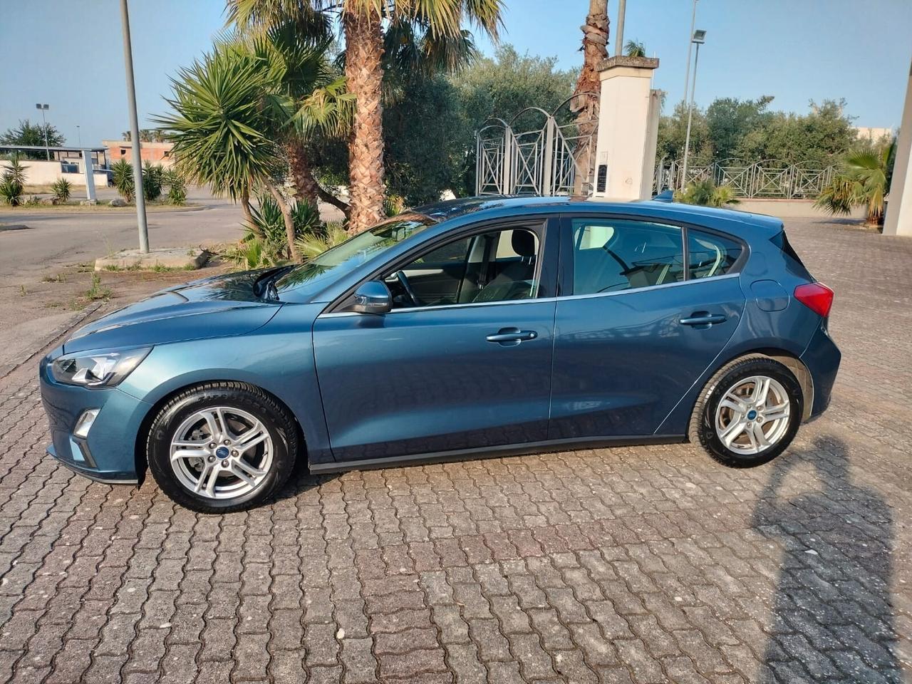 Ford Focus 1.5 EcoBlue 120 CV 5p. Business