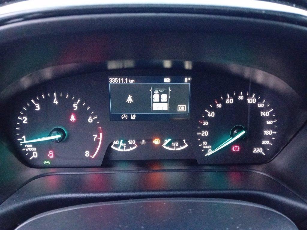 FORD Fiesta Active m-hybrid 5 porte del 2023