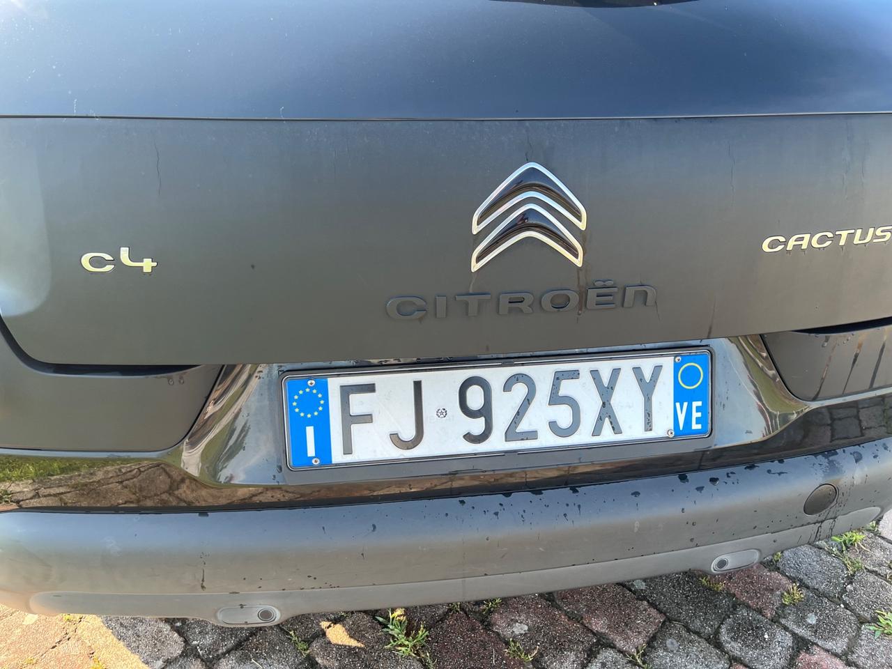 Citroen C4 Cactus BlueHDi 100 Shine Black Edition