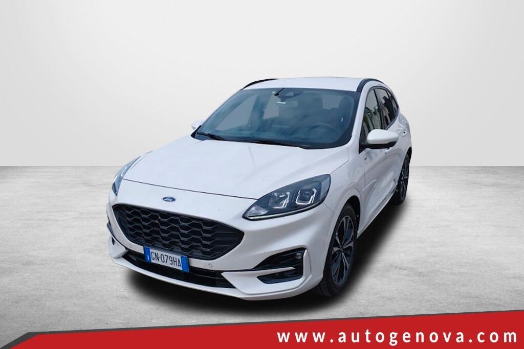 FORD KUGA 2.0 ECOBLUE 120CV POWERSHIFT 2WD ST-LINE ( FARI LED - COCKPIT - CRUISE - NAVI - MIRROR - PDC - TELECAMERA POST. - CERCHI 19 )