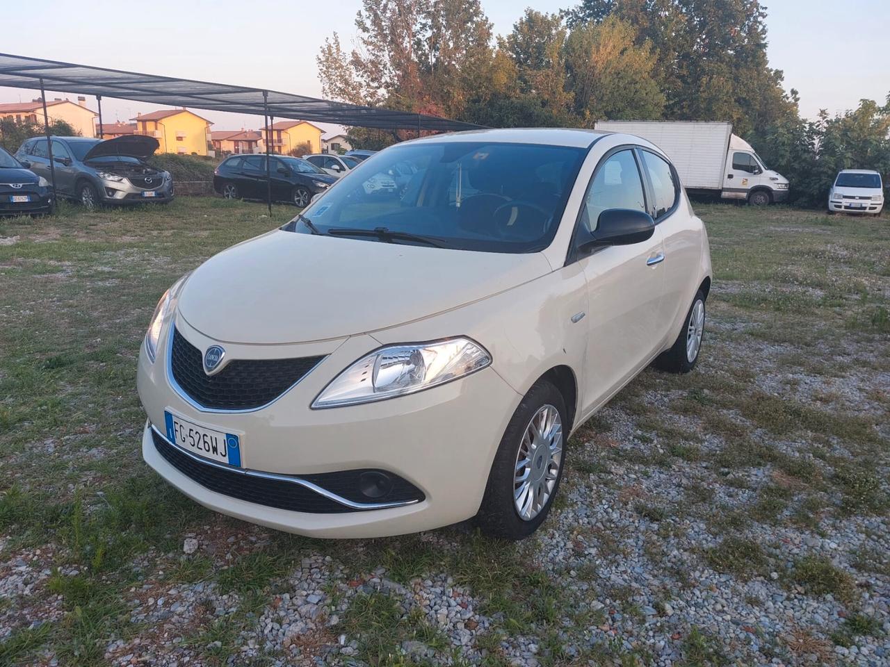 Lancia Ypsilon 1.2 69 CV 5 porte Platinum