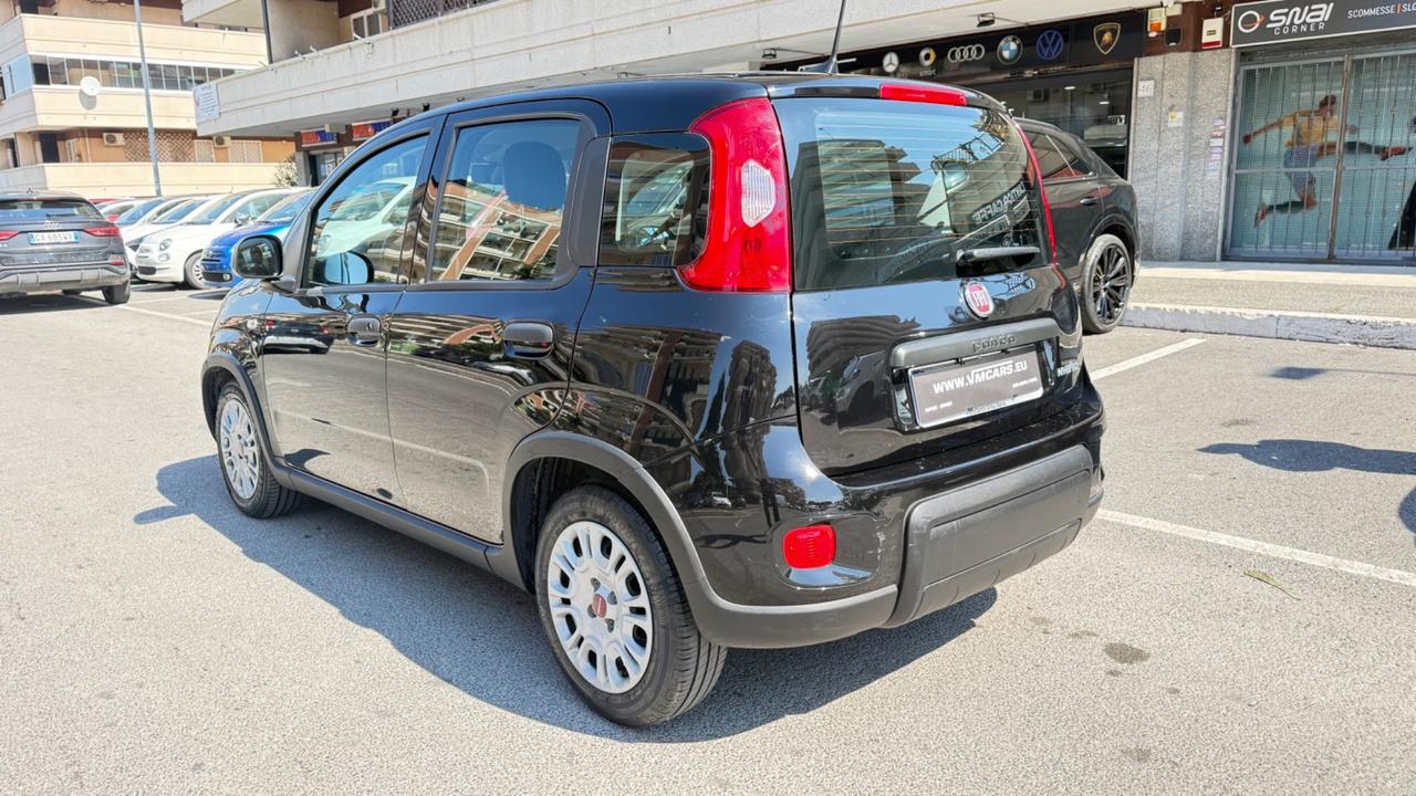 Fiat Panda 1.0 FireFly S&S Hybrid City Life LED PDC SCHERMO