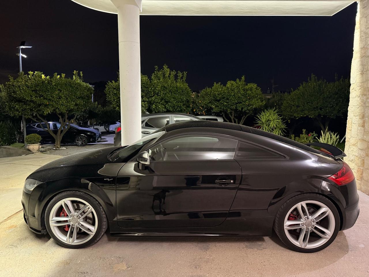 Audi TTS Audi Tts 2.0 272 cv Quattro raid-magnetic