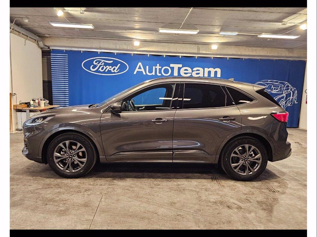 FORD Kuga 2.0 ecoblue st-line 2wd 120cv auto del 2024
