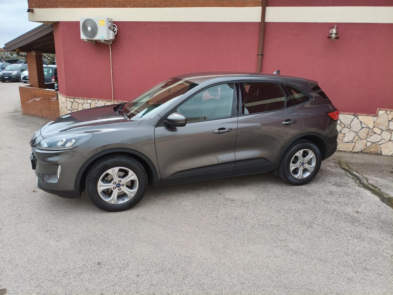 Ford Kuga 1.5 EcoBlue 120 CV aut. 2WD Connect