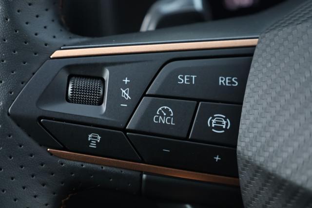 CUPRA Leon 2.0 TDI 150 CV DSG