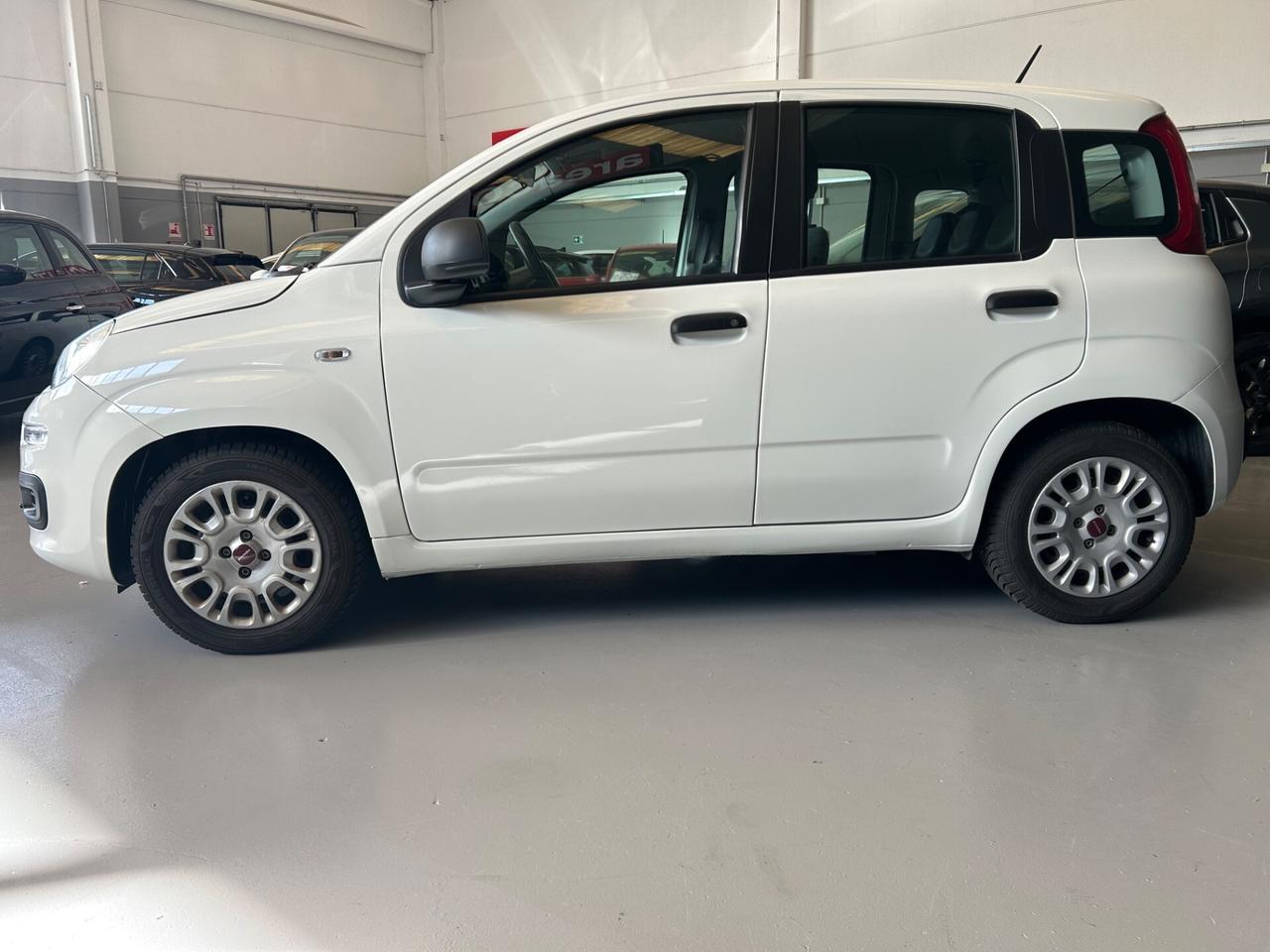Fiat Panda easy varie Panda 5p