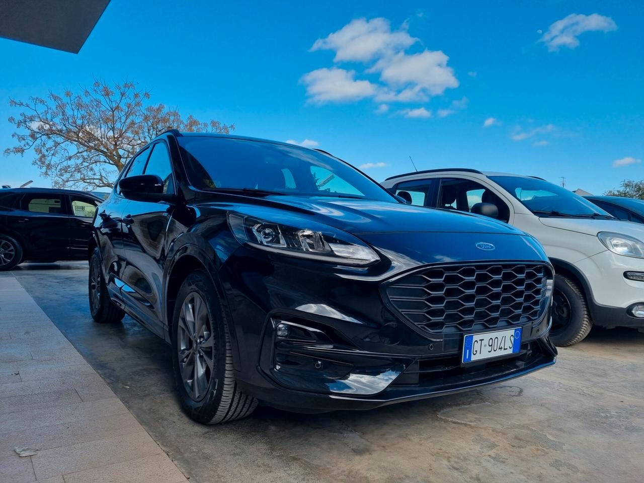 Ford Kuga 2.0 EcoBlue 120 CV aut. AWD ST-Line