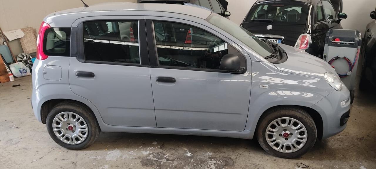 FIAT PANDA 1.0 HYBRID 2022