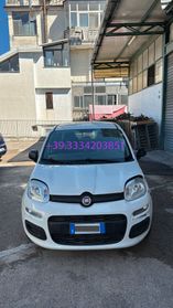Fiat Panda 1.0 FireFly S&S Hybrid Elettrica - Benzina