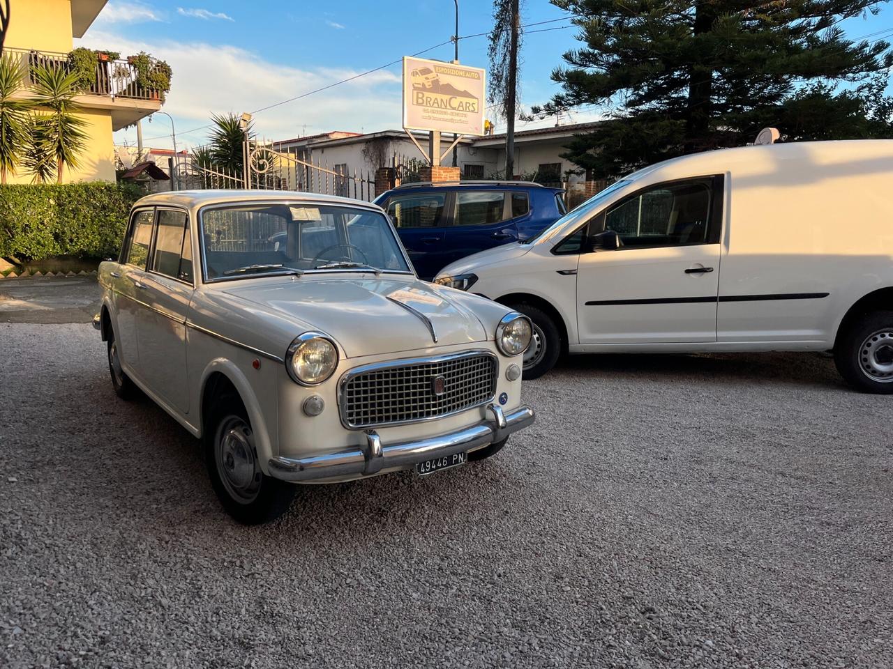 Fiat 1100 SPECIAL 1962