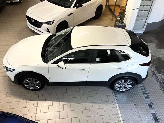 Mazda CX-30 CX-30 2.0 m-hybrid Executive 2wd 150cv Tagliandata