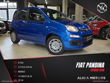 FIAT Pandina 1.0 FireFly 65 CV Hybrid Icon