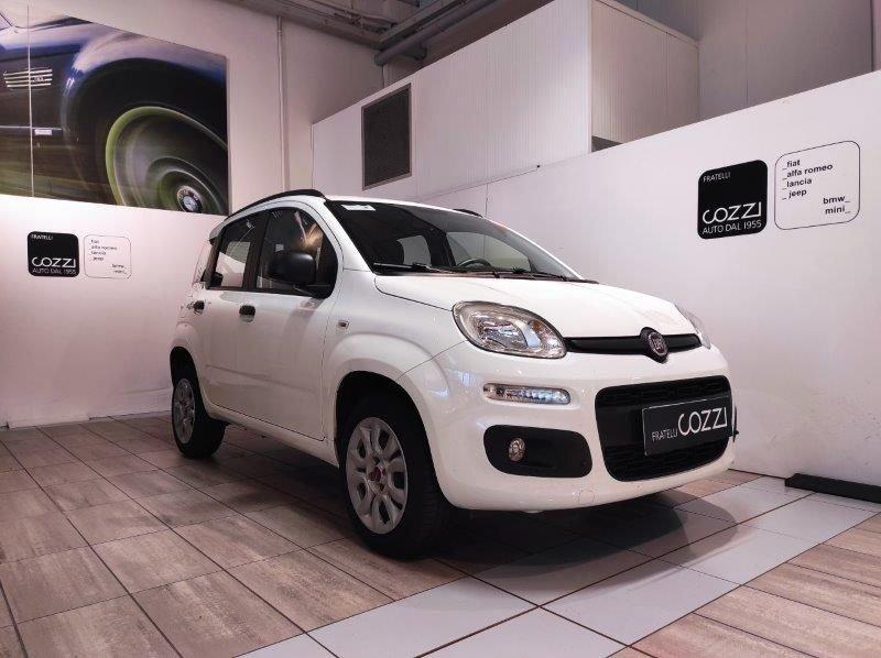 FIAT Panda 3ª serie 0.9 TwinAir Turbo Natural Power Easy