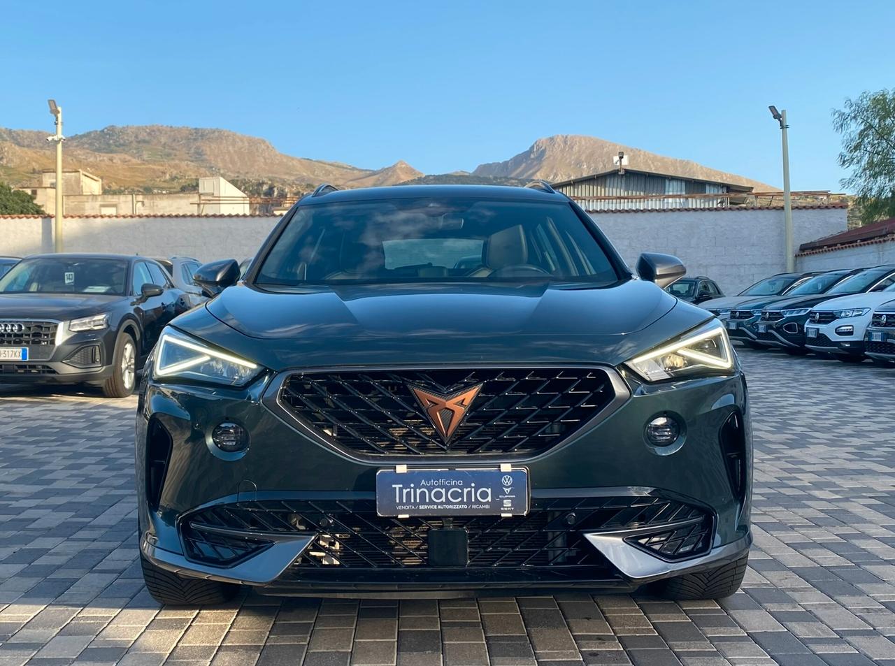 Cupra Formentor 2.0 TDI 150CV DSG 4drive