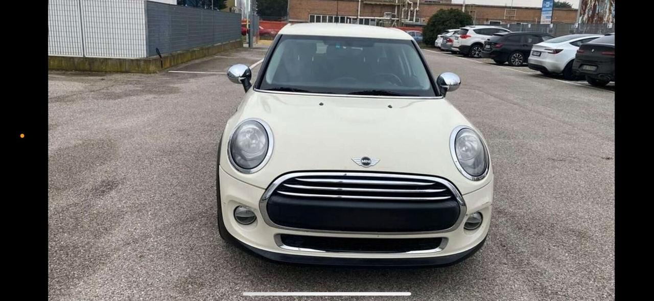 Mini 1.5 One D