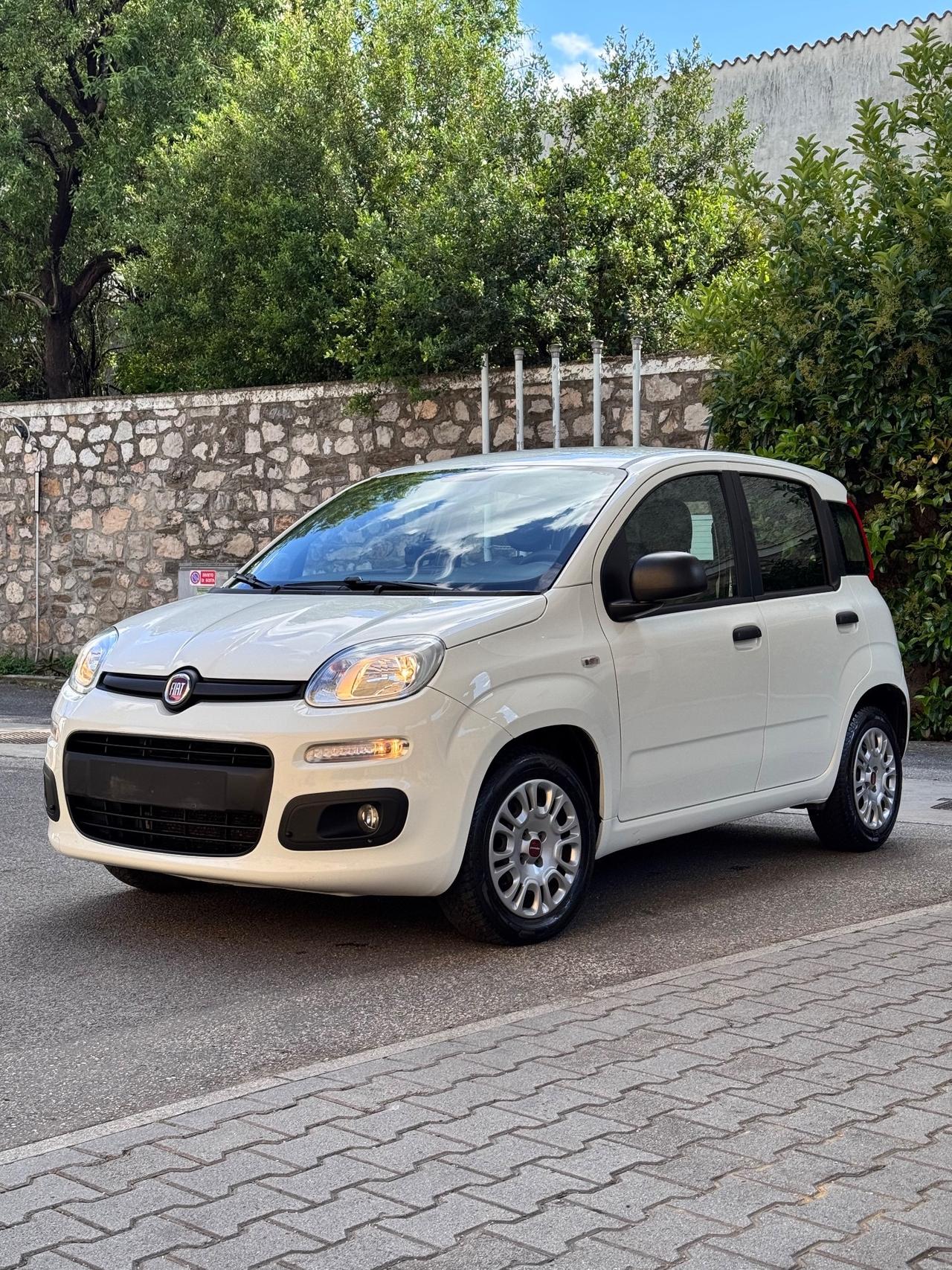 Fiat Panda 1.2 69cv Easy Finanziabile