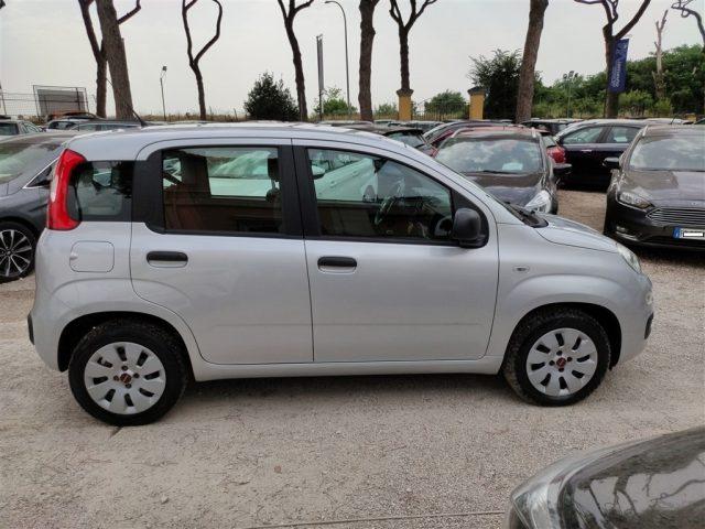 FIAT Panda 1.2 Easy CLIMA OK NEOPATENTATI ..