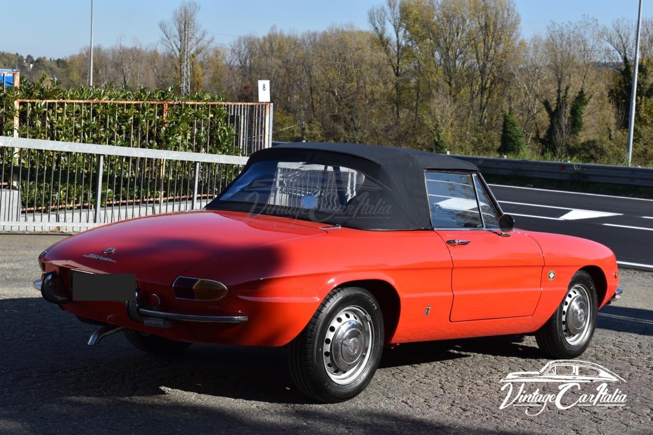 Alfa Romeo Duetto “Osso di Seppia”