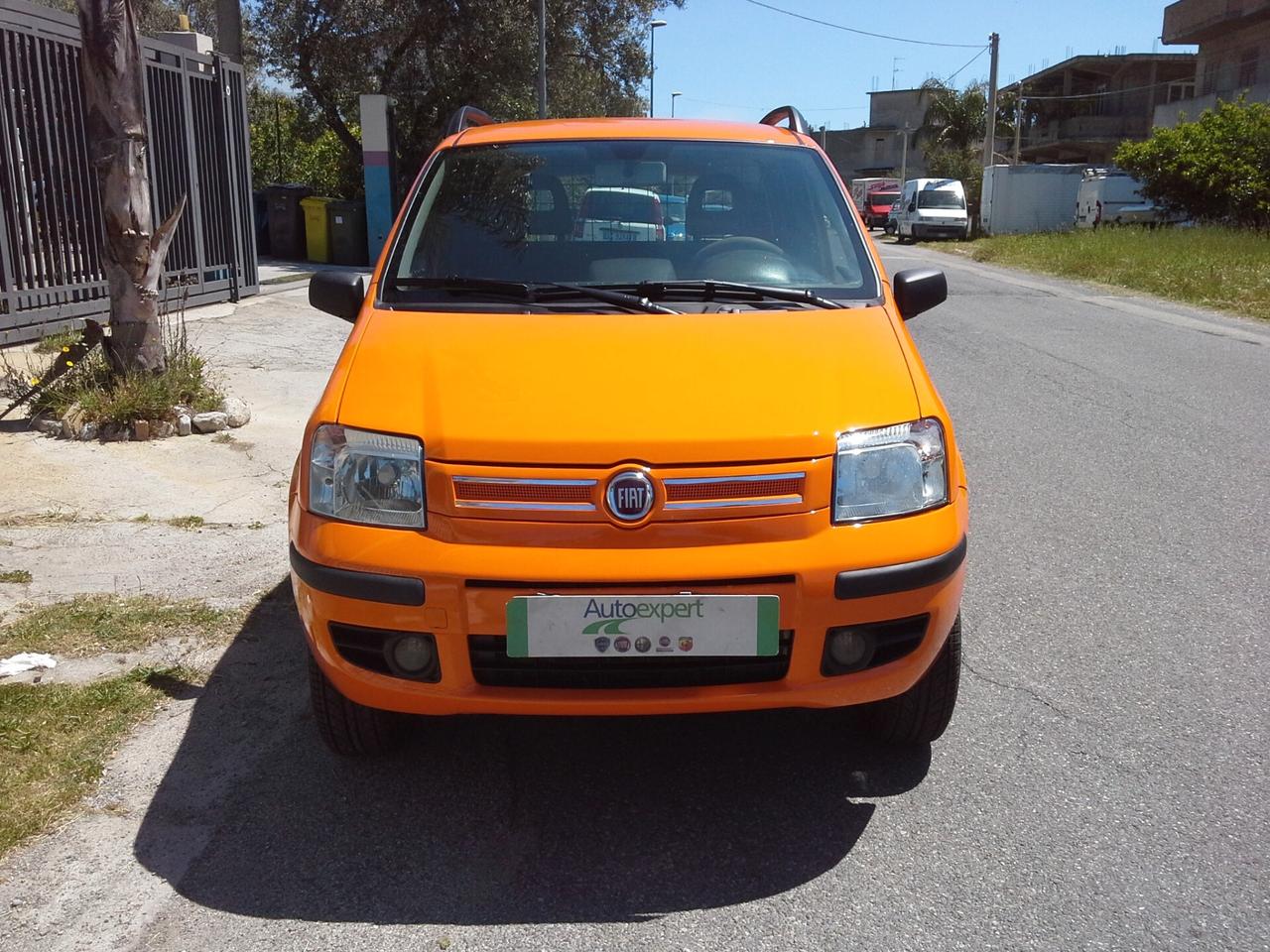 Fiat Panda 1.3 Multijet 4x4 Van 2 Posti Anno 2009