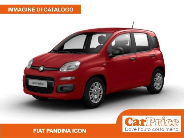 FIAT Pandina 1.0 FireFly 65CV Hybrid Icon (5 Posti)