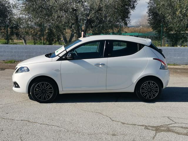 LANCIA Ypsilon 1.0 FireFly 5p S&S Hybrid Ecochic Silver IMP. GPL