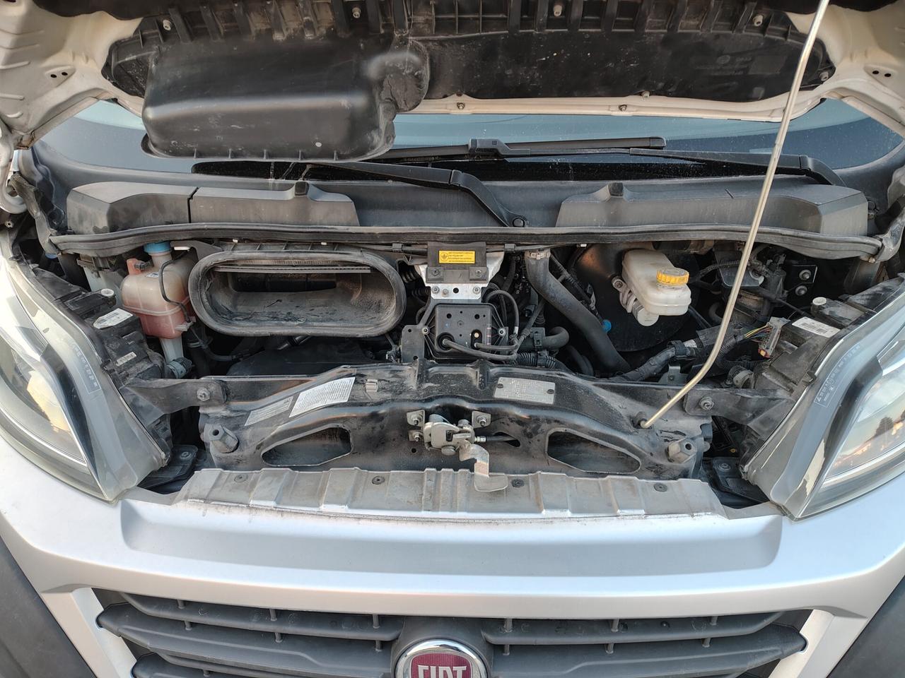 Fiat Ducato 33 2.3 MJT 130CV iva esposta 7 POSTI GRU FASSI