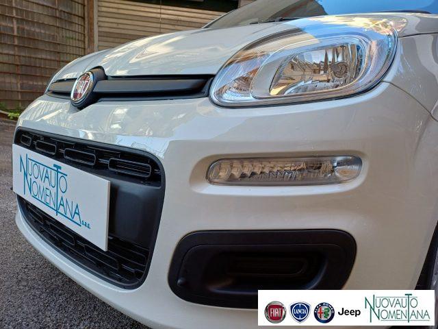 FIAT Panda 1.0 FireFly S&S Hybrid Icon 5°Posto Auto Nuova
