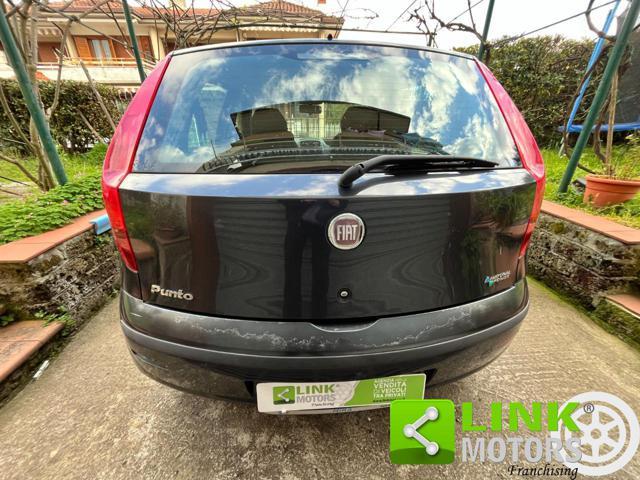 FIAT Punto Classic 1.2 5 porte Natural Power Active