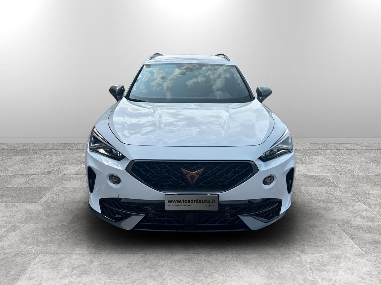 CUPRA Formentor 2.0 tdi 4drive dsg