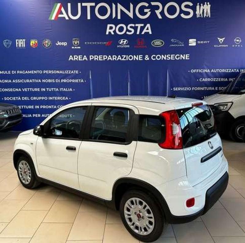 FIAT Panda 1.0 hybrid s&s 70CV NUOVA DA IMMATRICOLARE