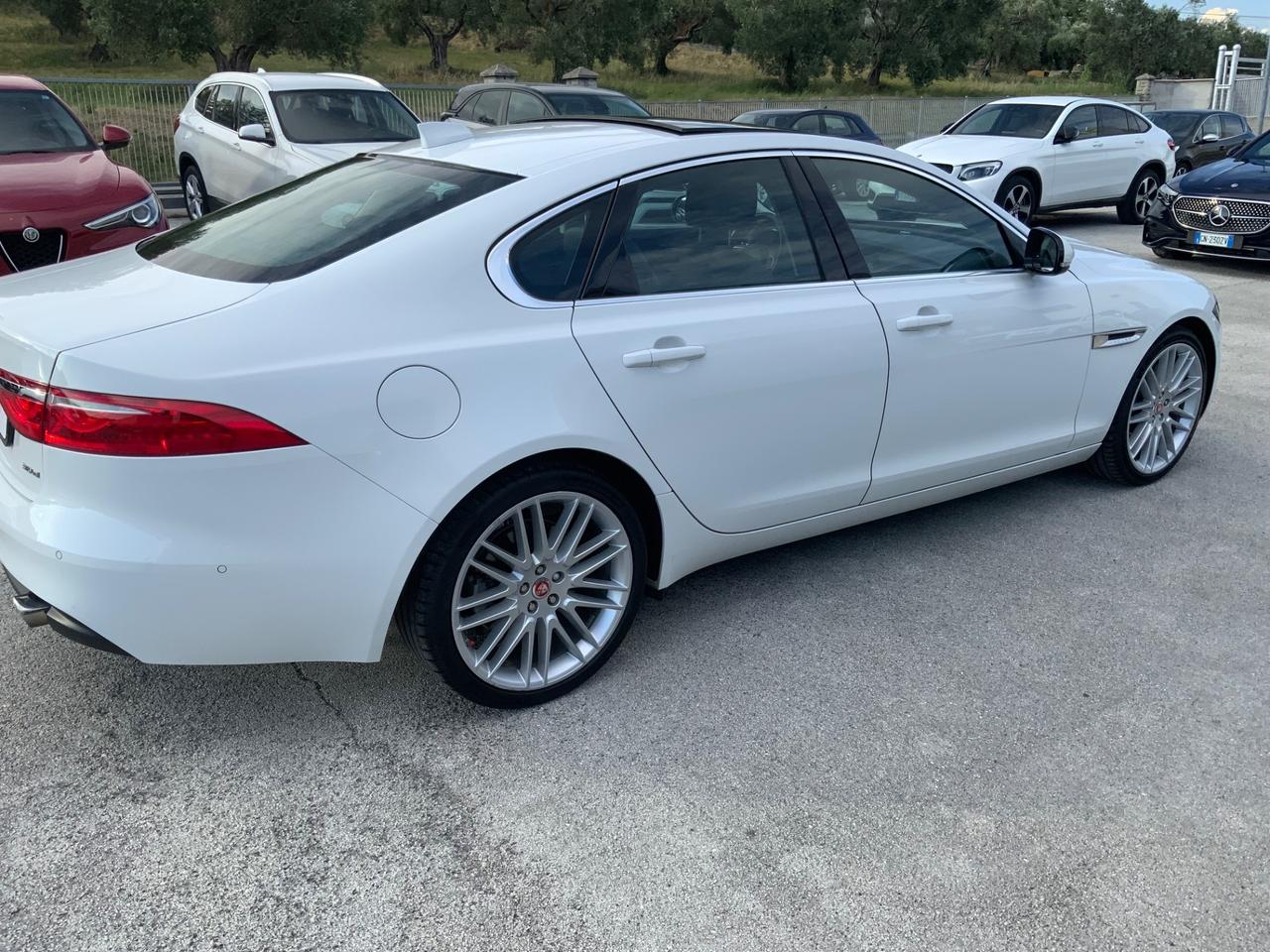 Jaguar XF 3.0 D V6 300 CV aut. Portfolio TETTO.FULL OPT