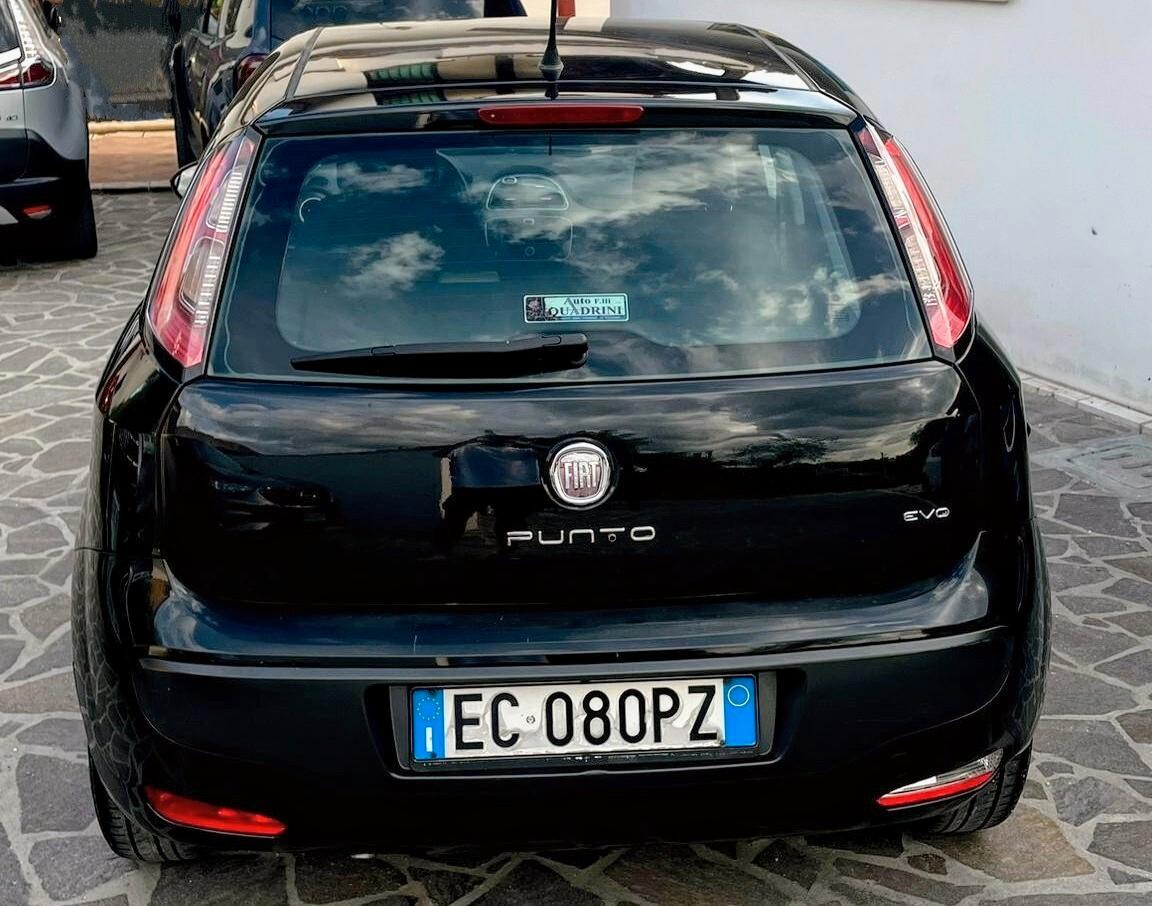 Fiat Punto Evo 1.3 Mjt 75 CV 5 porte Dynamic