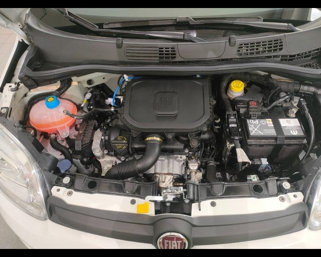 FIAT Panda 1.0 firefly hybrid Icon s&s 70cv 5p.ti