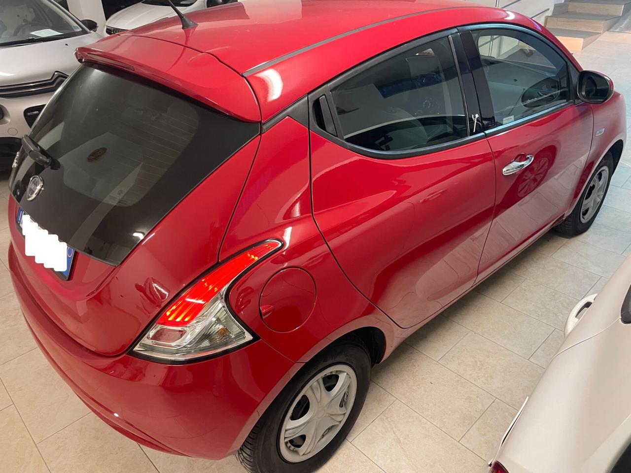 Lancia Y Ypsilon 1.2 Silver Tagliandata Distribuzione Neopatentati