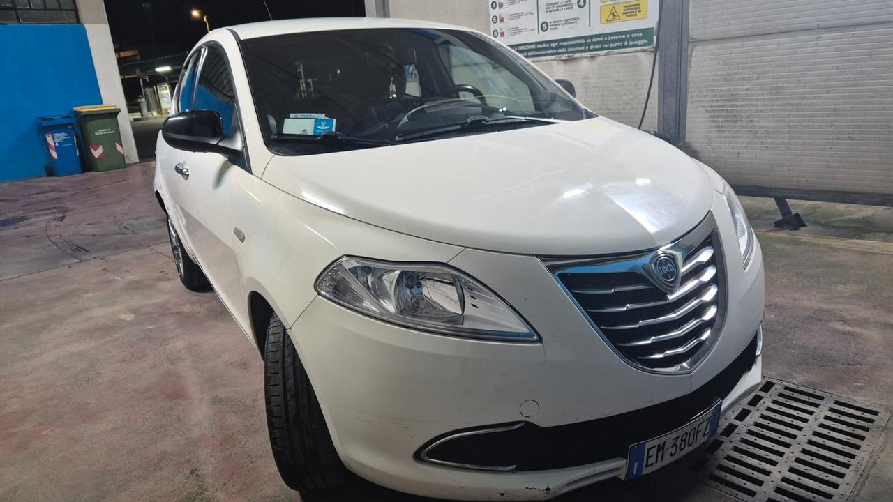 Lancia Ypsilon 1.3 MJT 16V 95 CV 5 porte S&S Gold