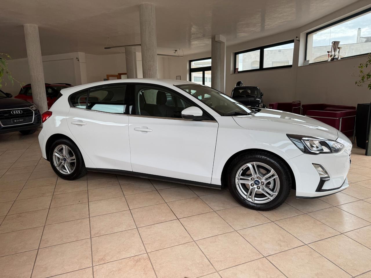 Ford Focus 1.5 EcoBlue 5p. Business CarPlay Navi Led