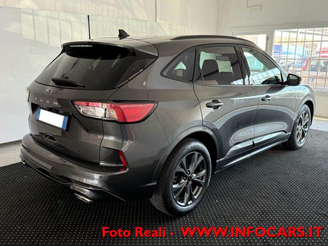 FORD Kuga 1.5 EcoBlue 120 CV autom. ST-Line - PROMO